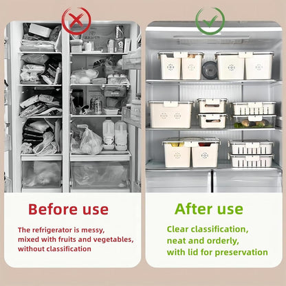 Fruit Storage Container for Fridge - Diqqawi Plates